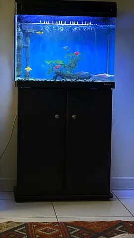 Complete Aquarium with Stand, Filter and LED Lighting - Ready to Use