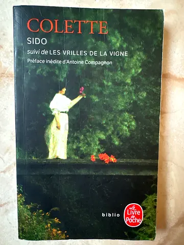 Book in French