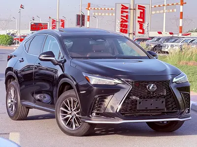 2023 Lexus NX-SERIES — миниатюра 19