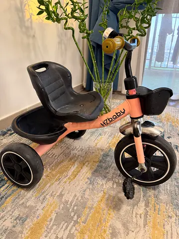 Toddler Tricycle almost FREE