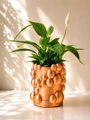 🔥 SALE / Designer Plant Pots / Cooper M 🔥