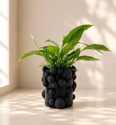 🔥 SALE / Designer Plant Pots / Black L 🔥