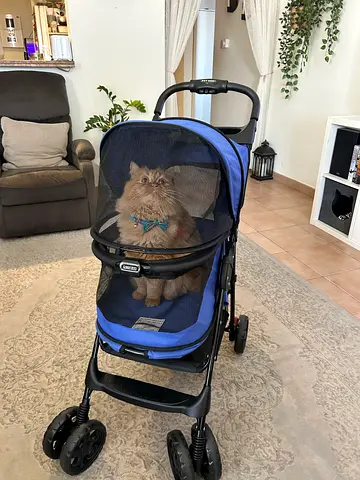 Pet stroller in good condition- ideal for cats/small dogs