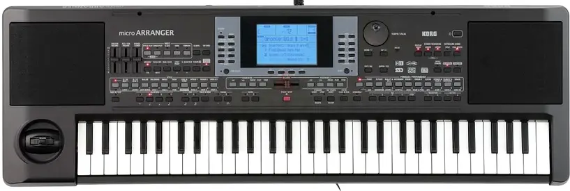 KORG Micro Arranger Portable Keyboard - 61 Keys with bag(with Indian Styles)