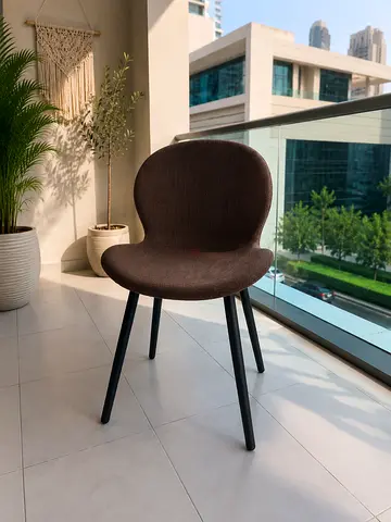 2 dinning chairs modern