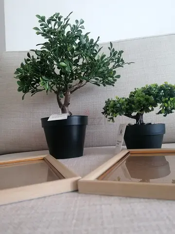 Artificial plants with photo frames