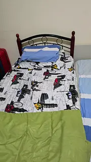 Roommate needed / Keralite Excecutive bachelor.
