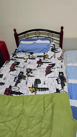 Roommate needed / Keralite Excecutive bachelor.