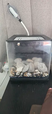 Small desktop aquarium tank with LED lamp and pebbles