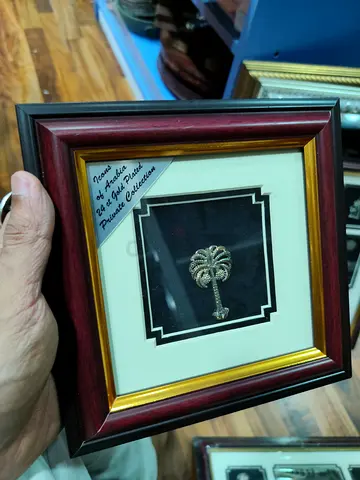 Framed Decorative Palm Tree Pin - Small Collectible 18*18cm
