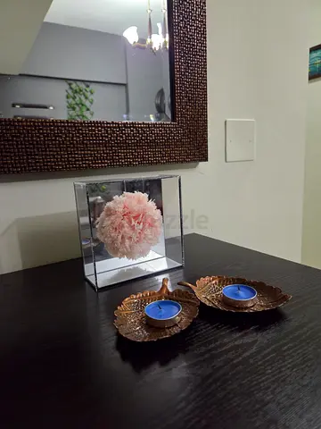 Real flower in a box