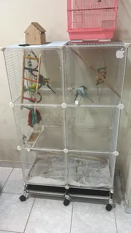 Large multi-level bird aviary / cage on wheels with toys