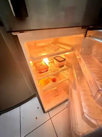Used Single-Door Refrigerator - Working Light and Shelves