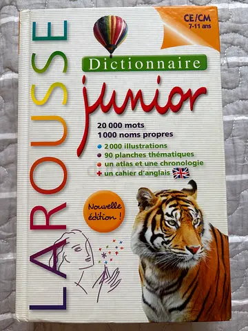 Dictionary in French