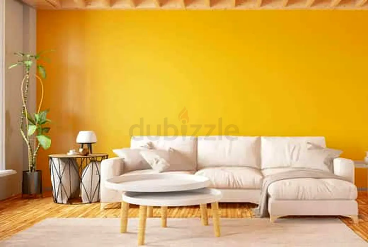 DPV_View_Image_0