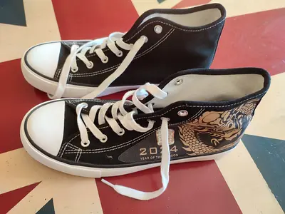 Year of the Dragon 2024 Canvas High Top Sneakers - Mint