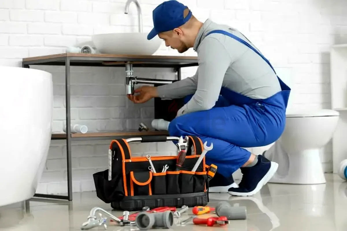 DPV_View_Image_1