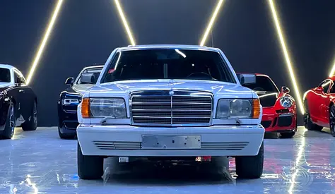 1989 Mercedes-BENZ S-CLASS 照片 8