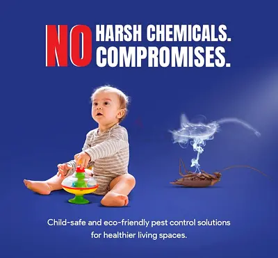 Little hands deserve a safe home thats why we use child-safe, eco friendly pest control