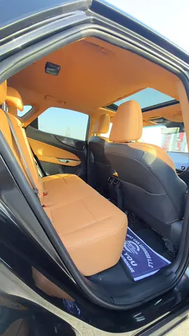 2023 Lexus NX-SERIES — миниатюра 7