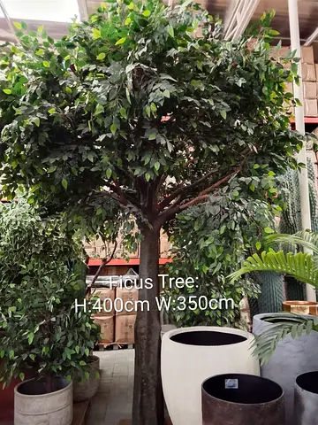 Giant 4-Meter Artificial Ficus Tree – Luxury Landscape Decor for Villas  Offices