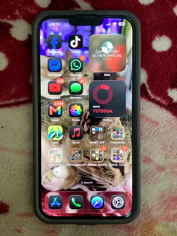 IPHONE 13 promax