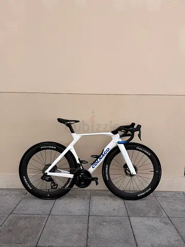 Y1rs Colnago