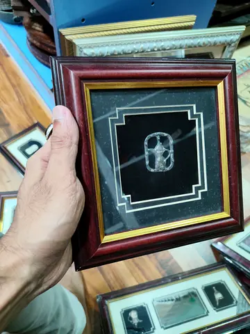 Framed Small Silver Artifact in Decorative Wooden Frame 18*18cm