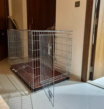 Large Metal Dog Crate with Removable Tray - Good Condition