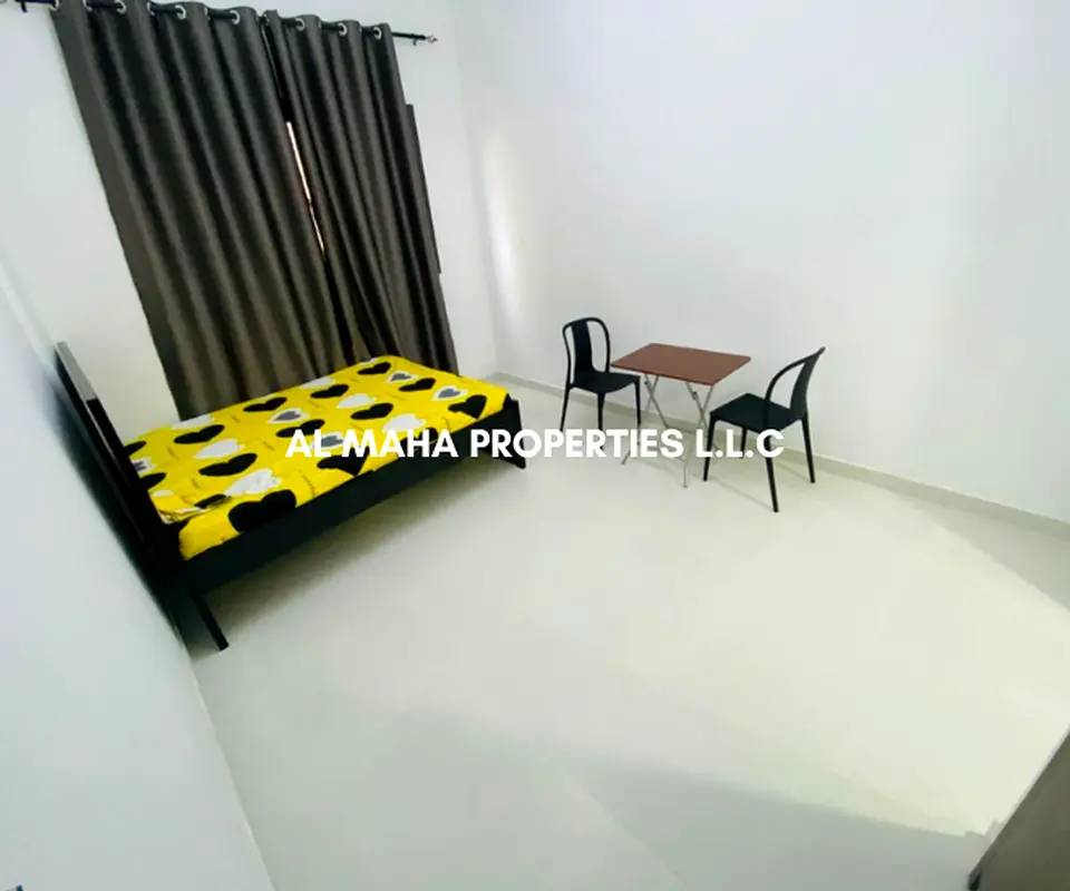 NO COMMISSION/MONTHLY RENT - Furnished Studio Flat for rent -Meena Bazar Bur Dubai