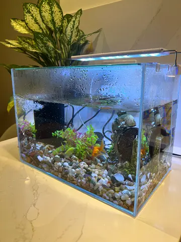 Small glass aquarium kit with LED light and filter - used