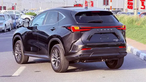 2023 Lexus NX-SERIES — миниатюра 15