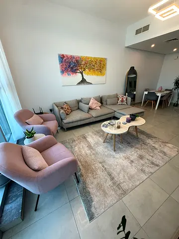 Light Grey Living Room Rug — Large Modern Area Carpet in Good Condition- 2 small pink carpets