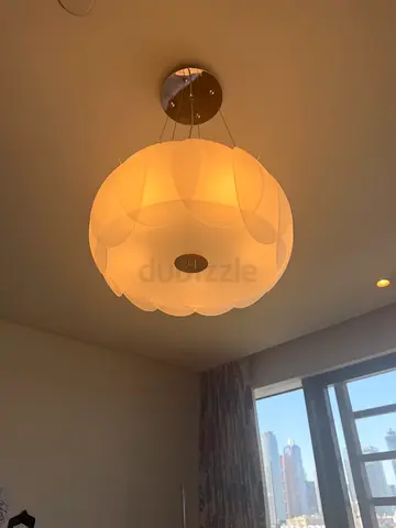Modern Petal Design Ceiling Light Fixture