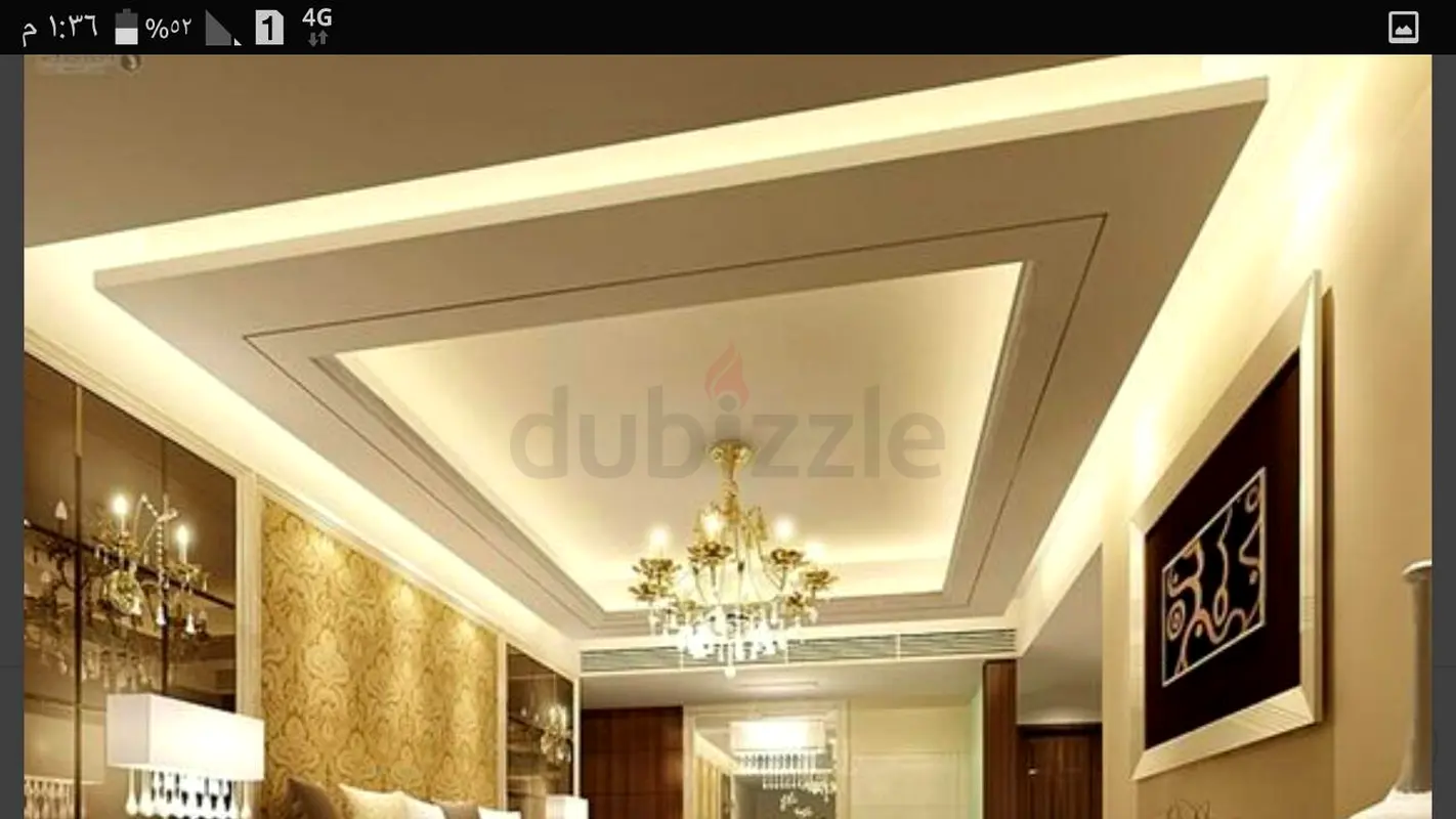 DPV_View_Image_0