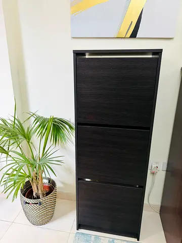 IKEA Shoe Cabinet
