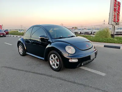 Well-Maintained 2004 Volkswagen Beetle Standard - Japanese Specs