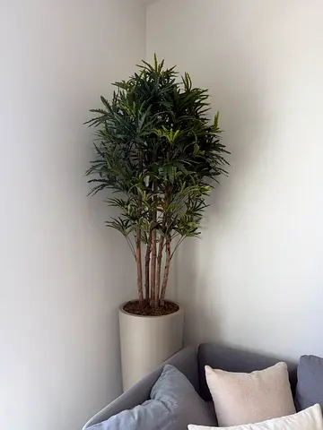 Fake olive tree from bloomfy