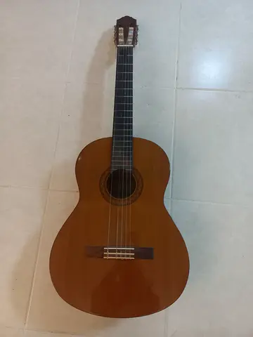 Guitar