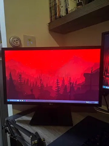 LG 24GM79G 144Hz 1920×1080 24 inch Monitor