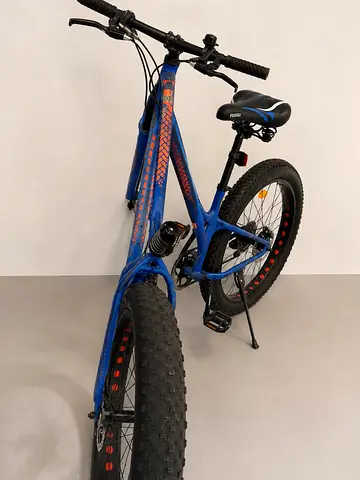 Fat Bike