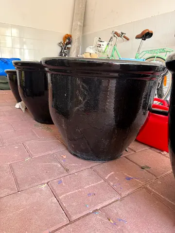 Plant pot