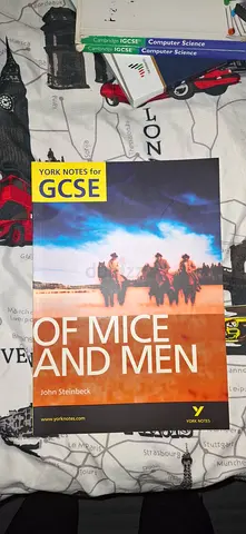 Of Mice and Men - York Notes for GCSE (John Scicluna)
