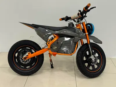 48v Electric Dirt Bike for Kids