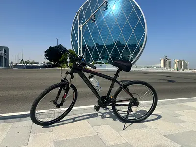 Mountain bike sliverback