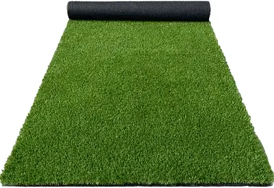 Fresh Look at Community Renovation Services Artificial Grass Walkway And Gypsum