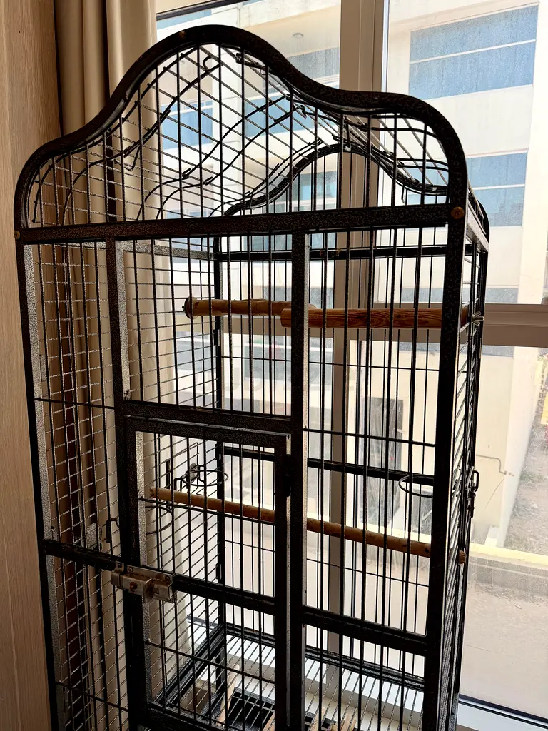 gallery-image