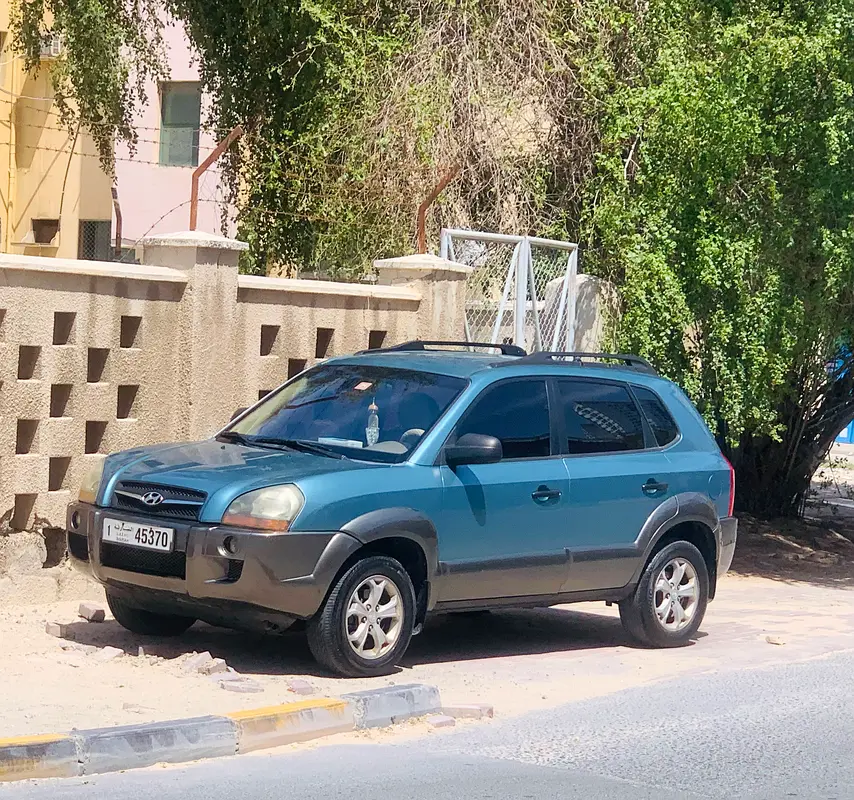 Hyundai Tucson 2009 — photo 1 of 3