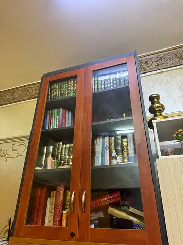 Bookshelf for sale, beautiful wood with glass in front and also has a lock. First come first serve.