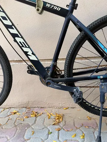 Totem W790 Bike